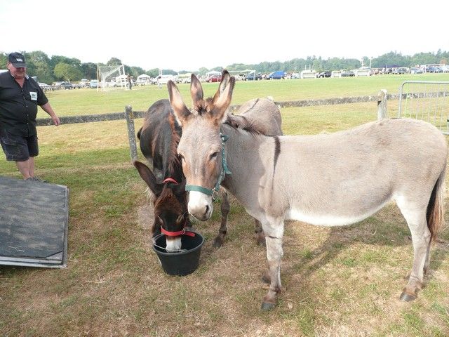 vide grenier 2012 (24).jpg